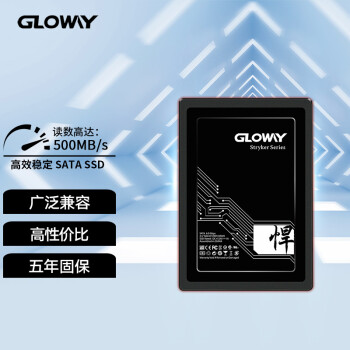 GLOWAY 光威 悍将系列 高速版 固态硬盘 SATA 256GB