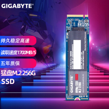 GIGABYTE 技嘉 SSD固態硬盤 M.2接口(NVMe協議)高速臺式機電腦筆記本固態硬盤  256G