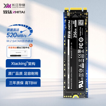 ZHITAI 致钛 SC001 Active系列 固态硬盘 256GB M.2接口（SATA总线）