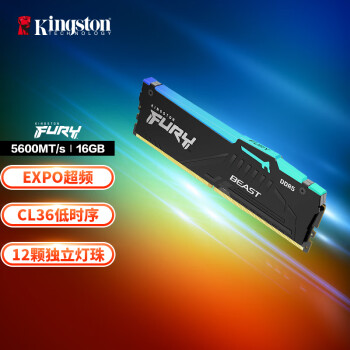 Kingston 金士顿 FURY Beast DDR5 5600MHz RGB台式机内存条 16GB