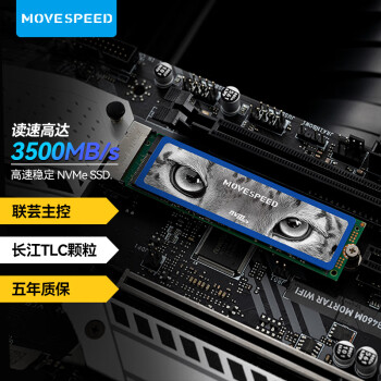 MOVE SPEED 移速 美洲豹 NVMe M.2 固态硬盘 2TB（PCI-E3.0）