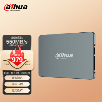 da hua 大华 Dahua）2000GB 国产SSD固态  笔记本台式机固态硬盘