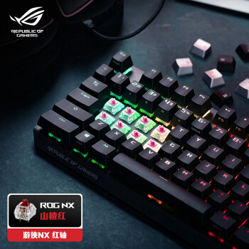 ROG 玩家国度 游侠NX 机械键盘 有线键盘 游戏键盘 电竞  104键RGB背光 NX山楂红轴