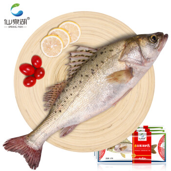 仙泉湖 国产三去白蕉海鲈鱼净膛1kg单条烧烤食材(珠海地标特产CNAS认证)轻食海鲜