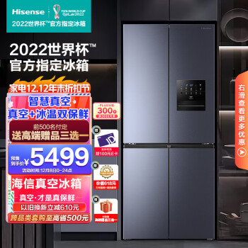 Hisense 海信 真空系列 BCD-450WMK9DPV 風冷十字對開門冰箱 450L