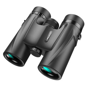 leaysoo 雷龙 8X32双筒望远镜黑色高清高倍微光夜视非红外便携防水升级版大目镜户外探险演唱会