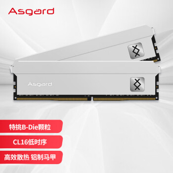 Asgard 阿斯加特 16GB(8Gx2)套装 DDR4 4000 台式机内存条 弗雷系列-钛银甲（C16）特挑B-die颗粒