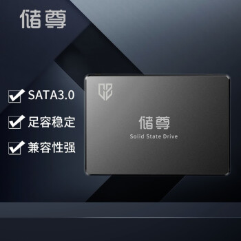 CHU ZUN 储尊 CS101 固态硬盘 512GB（SATA3.0）