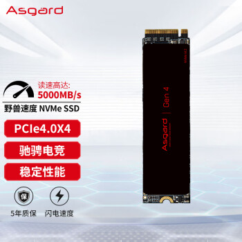 Asgard 阿斯加特 Lite 1TB SSD固态硬盘 M.2接口(NVMe协议PCIe 4.0 x4)  TLC颗粒