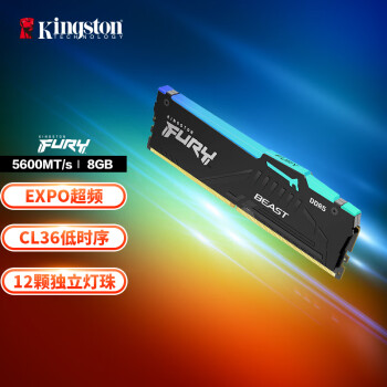 Kingston 金士顿 FURY 8GB DDR5 5600 台式机内存条 Beast野兽系列 RGB