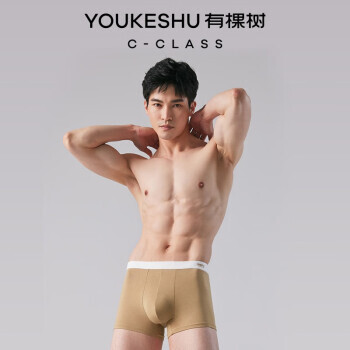 YOUKESHU 有棵树 男士抗菌纯棉内裤 3条装 YKS000171 49.91元包邮（需用券）