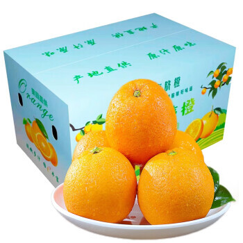 PLUS会员：桂云山 赣南脐橙 10斤一级大果(80-90mm) 59.9元包邮（双重优惠）