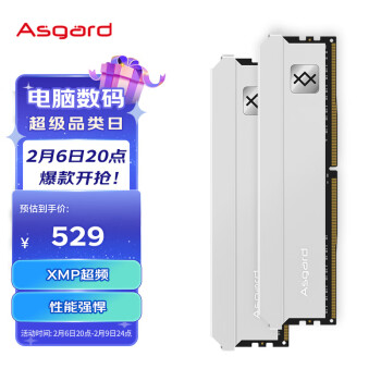 Asgard 阿斯加特 弗雷系列-钛银甲 DDR4 3600MHz 台式机内存条 32GB（16GBx2）套装