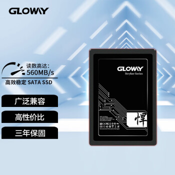 GLOWAY 光威 捍将 SATA 固态硬盘 960GB