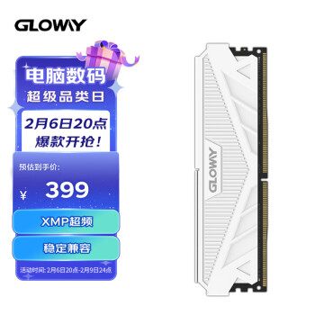 GLOWAY 光威 天策系列 DDR4 3200MHz 台式机内存 马甲条 皓月白 32GB