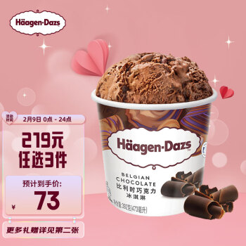 哈根达斯 冰淇淋 比利时巧克力口味 473ml