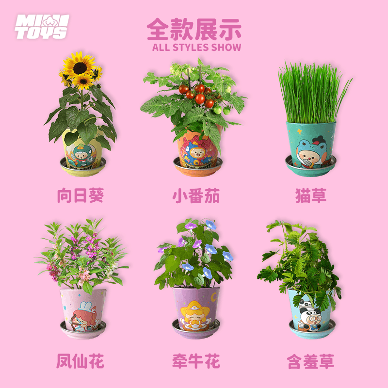 迷你世界种植小盆栽diy创意有机向日葵植物种子盒迷你小盆栽礼物