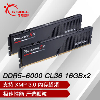 G.SKILL 芝奇 F5-6000J3636F16GX2-RS5K DDR5 6000Hz内存条 16GBx2