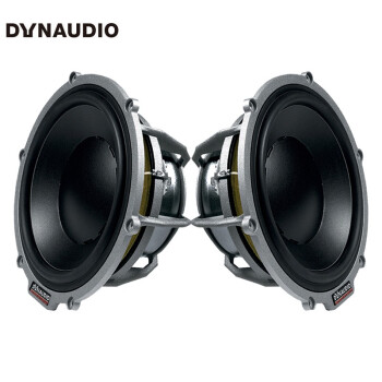 dynaudio 丹拿 汽車音響 esotar 650丹麥原裝進口中低音喇叭200w6.