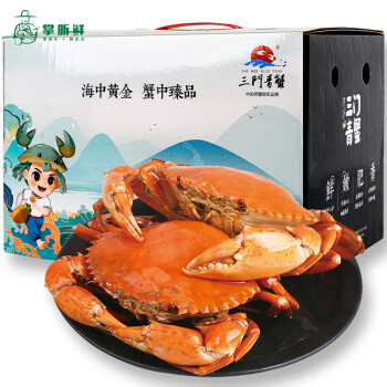 掌昕鲜 三门青蟹 公母对蟹（8-9两/只）2只 生鲜活螃蟹海鲜水产送礼盒装