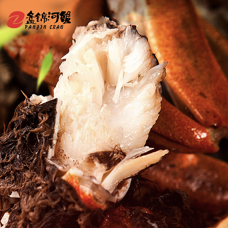 Panjincrab 盘锦河蟹 全母蟹 20只 10~13两只 98元98元 爆料电商导购值得买 一起惠返利网 3357