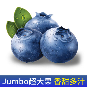 京觅 京鲜生 应季蓝莓 Jumbo超大果 2盒装 约125g/盒 新鲜水果