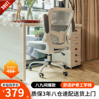 BAJIUJIAN 八九间 TO-521-Z 人体工学电脑椅 白色+灰色