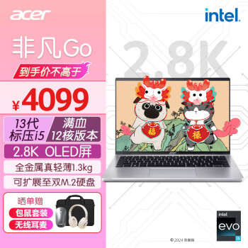 acer 宏碁 非凡Go 十三代酷睿版 14.0英寸 轻薄本 银色（酷睿i5-13500H、核芯显卡、