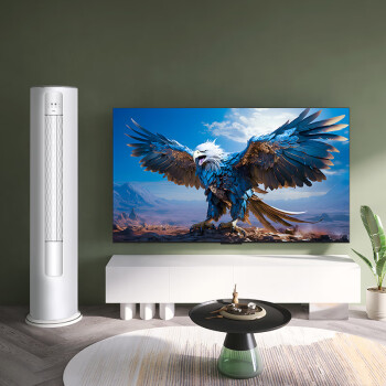 TCL 雷鸟 65英寸电视 S515D 144Hz高刷电视机&TCL 大2匹 新三级能效变频节能冷暖柜机空调