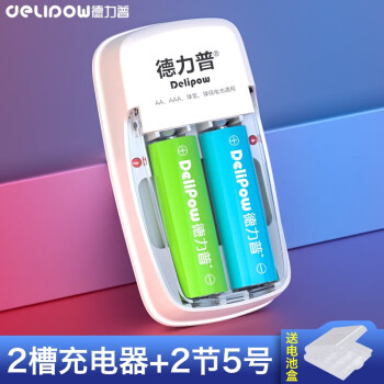 Delipow 德力普 充电电池 5号电池充电器套装1.2v适用遥控器/鼠标键盘/儿童玩具