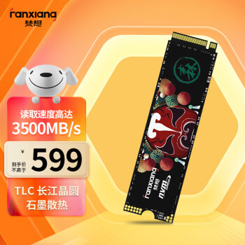 FANXIANG 梵想 2TB SSD固态硬盘 精选长江存储晶圆 国产TLC颗粒 M.2接口 S500PRO