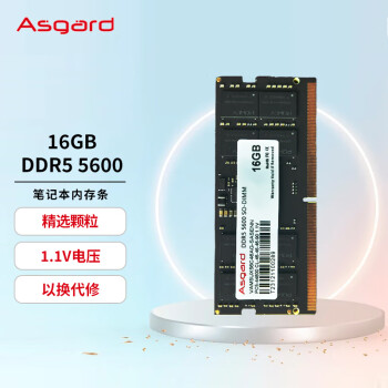 Asgard 阿斯加特 16GB DDR5 5600 笔记本内存条
