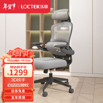 Loctek 乐歌 y31 电脑椅