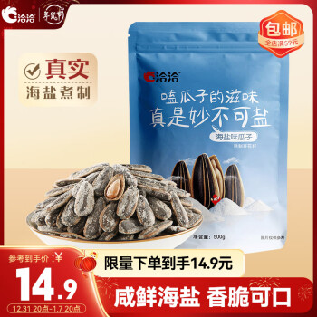 ChaCheer 洽洽 瓜子 海盐味 500g