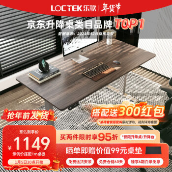 Loctek 乐歌 电动升降桌智能电脑桌简约工作站立办公家用书桌台式电脑桌子E2 银灰桌腿+灰木 1.2*0.6m