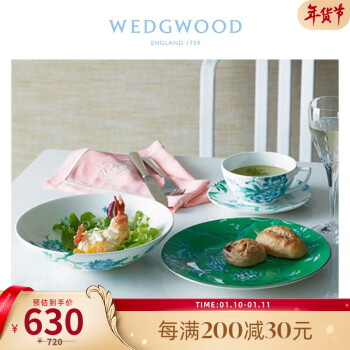 WEDGWOOD 维基伍德翠玉凤凰白色21.5厘米骨瓷汤碗