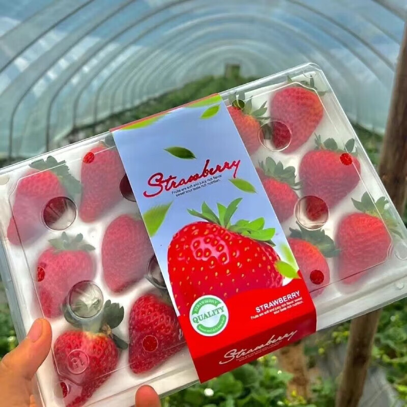 顶鲜佳 红颜草莓甜草莓礼盒装 特大果30克+ 12.25元（需买4件，需用券）