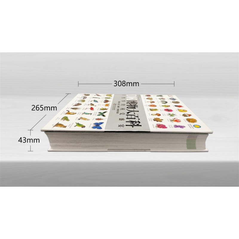 《DK博物大百科》（精装） 123元