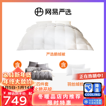 YANXUAN 网易严选 95%白鹅绒被中国 鹅绒被+件套+枕头 200*230cm 适合1.5/1.8米床