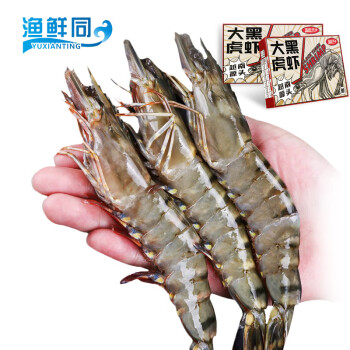 TOUSH’S 拓食 渔鲜同YUXIANTING越南生冻黑虎虾（特大号）500g/盒 15只 火锅食材 海鲜水产