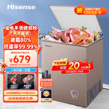 Hisense 海信 BD/BC-100NUD 冰柜 100L