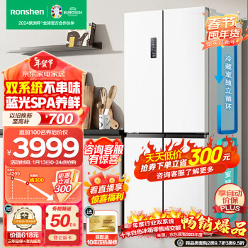 Ronshen 容声 冰箱501升双系统循环 BCD-501WD18FP-CY34 极地白