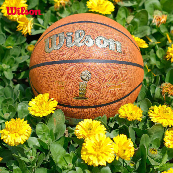 Wilson 威尔胜 NBA ETERNAL FINALS系列成人篮球室内外通用7号篮球