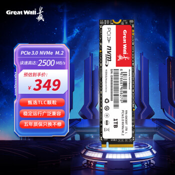 Great Wall 长城 1TB 固态硬盘 M.2(NVMe协议)TLC颗粒PCIe 3.0x4 GW300T系列