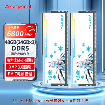 Asgard 阿斯加特 48GB(24GBx2)套装 DDR5 6800 台式机内存 RGB灯条-吹雪