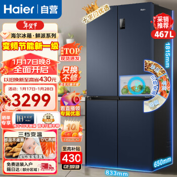 Haier 海尔 BCD-467WGHTDEDB9 风冷十字对开门冰箱 467L 星石蓝