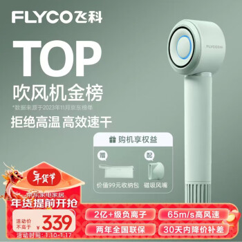 FLYCO 飞科 高速电吹风机家用低噪音速干负离子护发吹风筒银河星环FH6371水晶绿