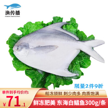 渔传播 浙江舟山鲳鱼 300g 1条  白鲳  银鲳 海鲜水产 烧烤食材