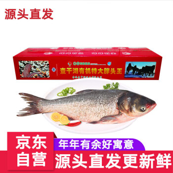 CHINGREE 查干湖 鱼现货 冬捕有机胖头鱼25-26斤 查干湖胖头鱼年夜饭礼盒源头直发