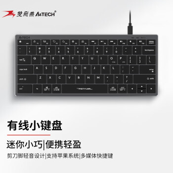 A4TECH 双飞燕 FX51 有线小键盘轻音笔记本电脑办公打字专用便携短款78键 飞时代剪刀脚键盘 铁灰